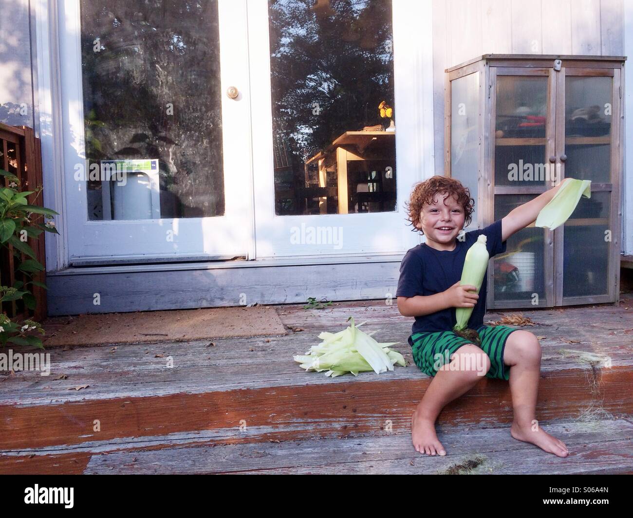 Un jeune garçon shucking corn dehors un jour d'été dans le Connecticut, USA. Banque D'Images