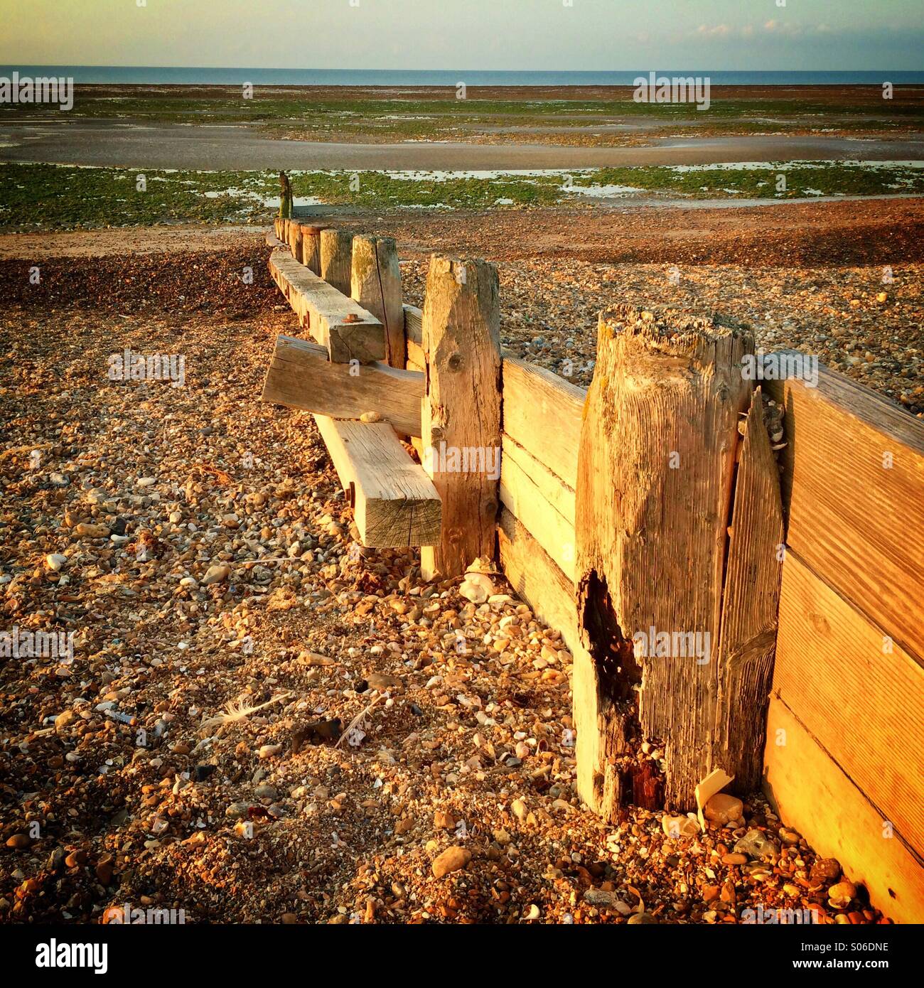 Plage en bois épi Banque D'Images