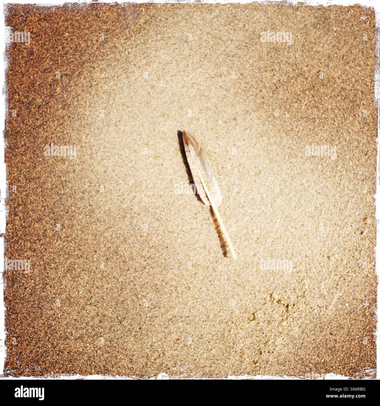 Une seule plume sur une plage de sable - Image de stock capturée avec un smartphone