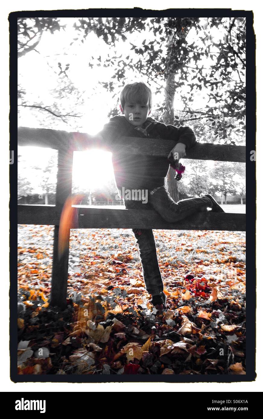 Garçon sur une clôture à l'automne le soleil. Banque D'Images