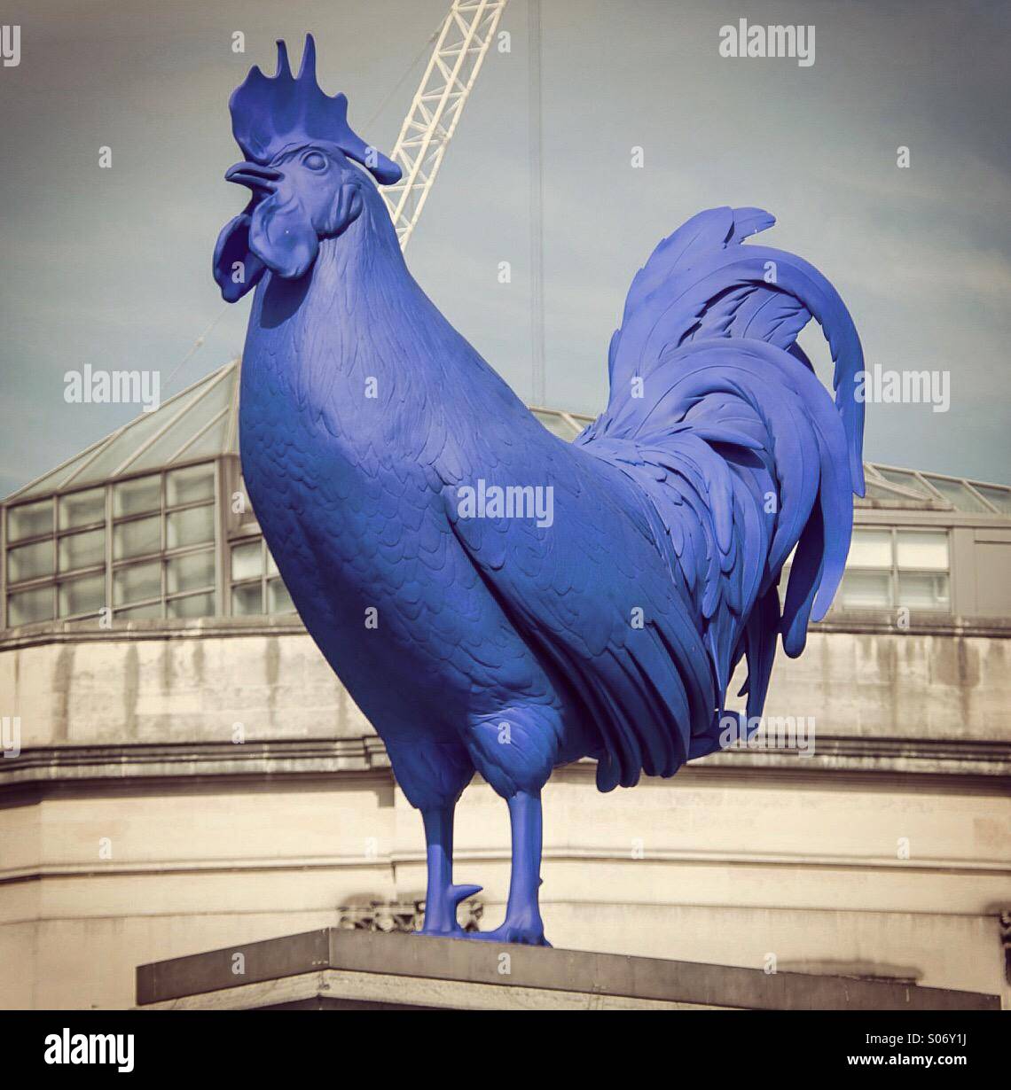 Sculpture coq bleu à Trafalgar Square à Londres - Image de stock capturée avec un smartphone