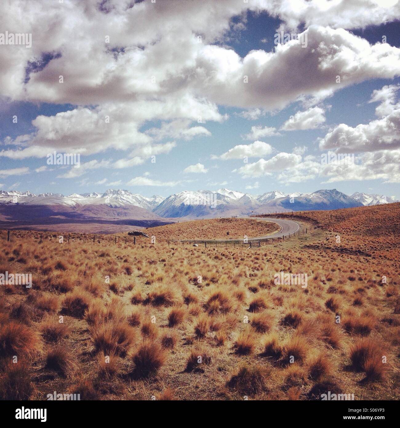 Les prairies en Nouvelle-Zélande avec une chaîne de montagnes en arrière-plan Banque D'Images