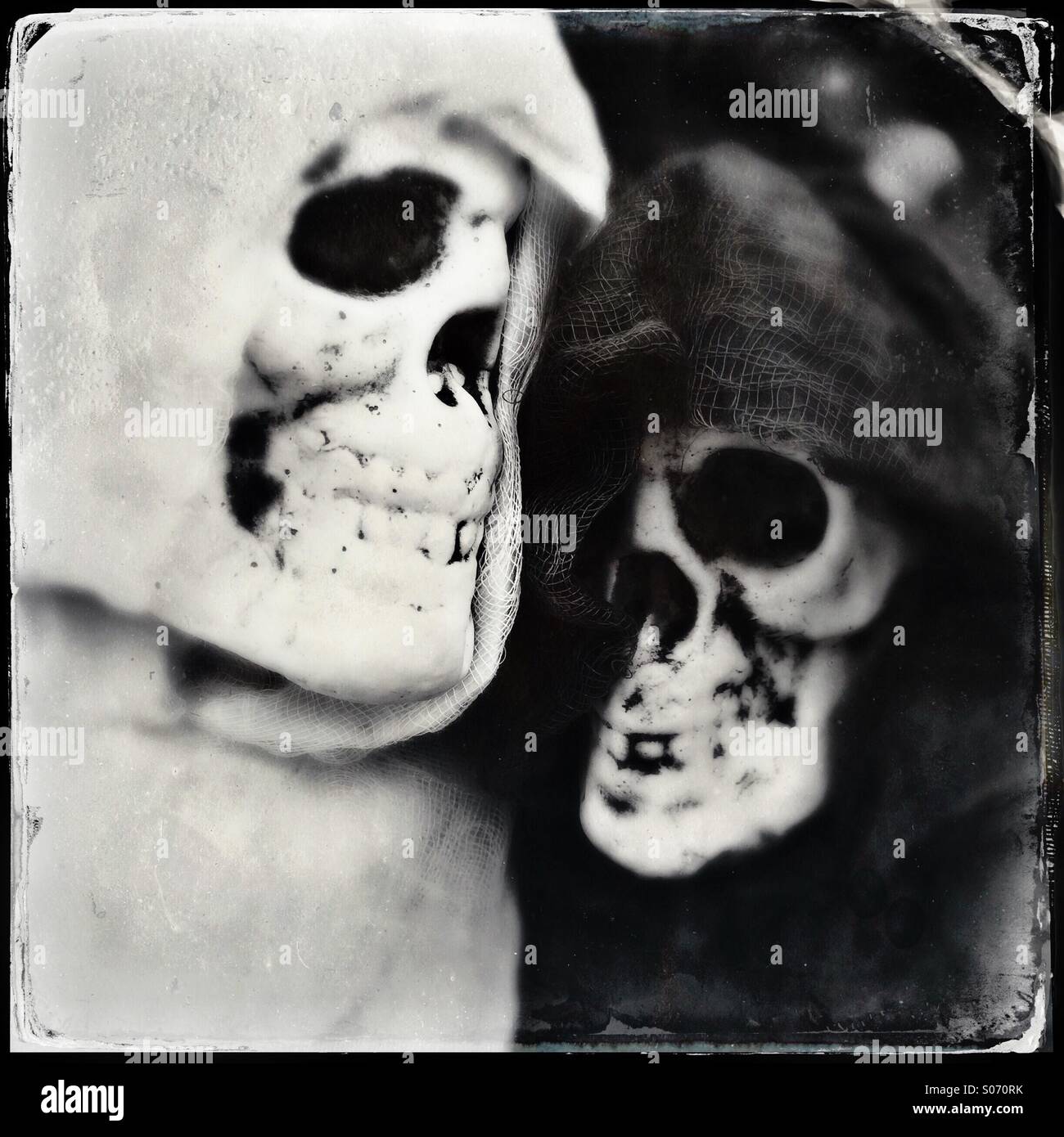 Deux squelettes Banque D'Images