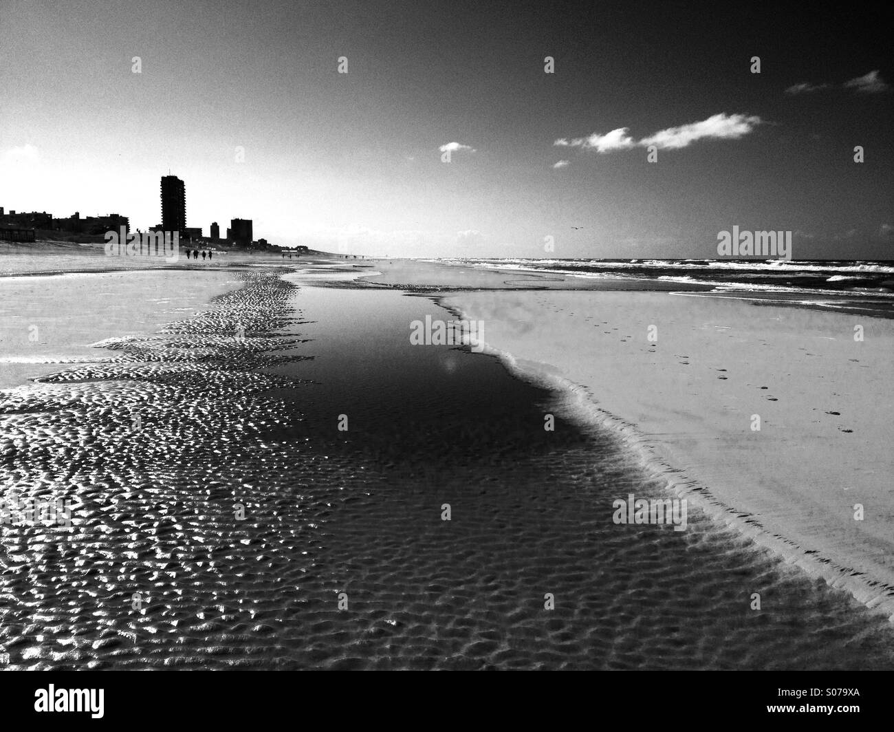 Vue de la plage aux Pays-Bas - Image de stock capturée avec un smartphone