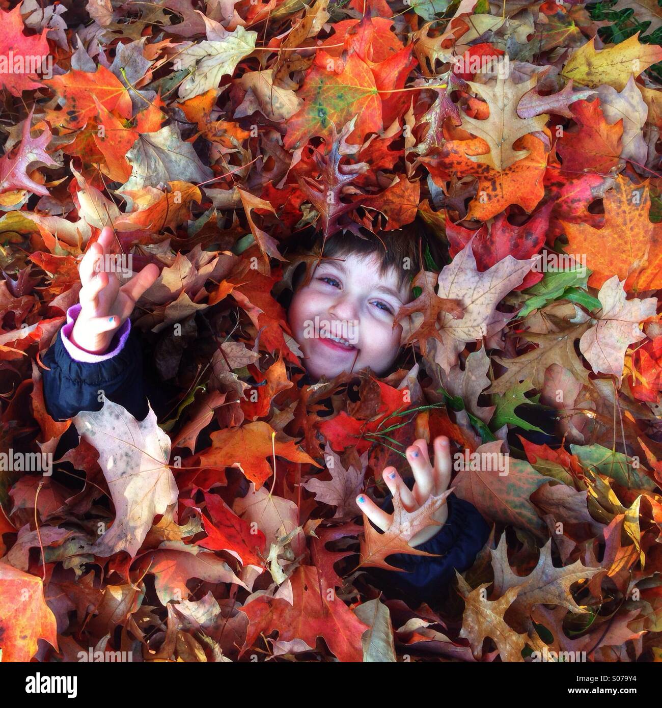 Jeune fille en tas de feuilles d'automne Banque D'Images