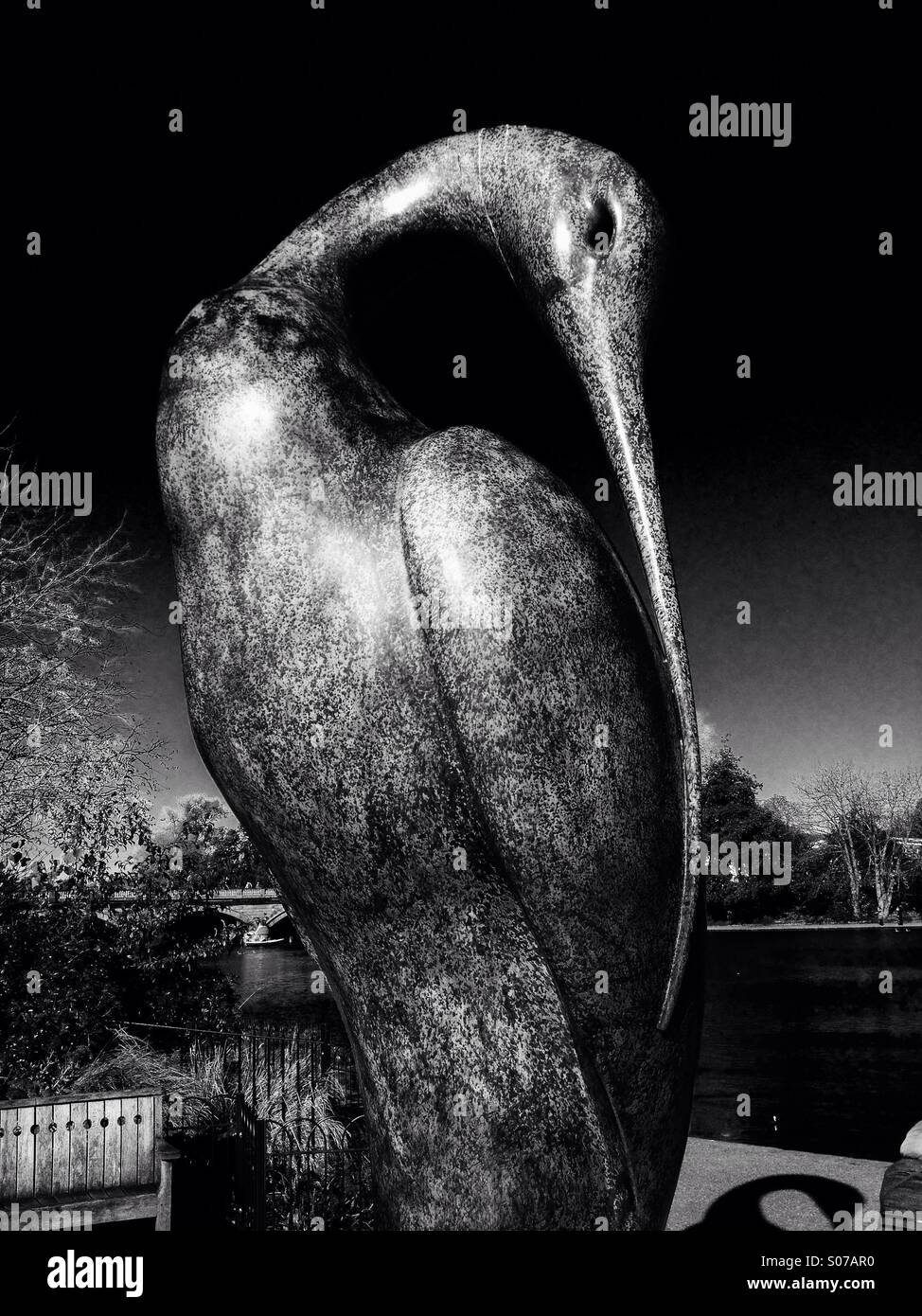 Gros plan en noir et blanc d'Isis, une sculpture de Simon Gudgeon, à Hyde Park, Westminster, Londres - Image de stock capturée avec un smartphone