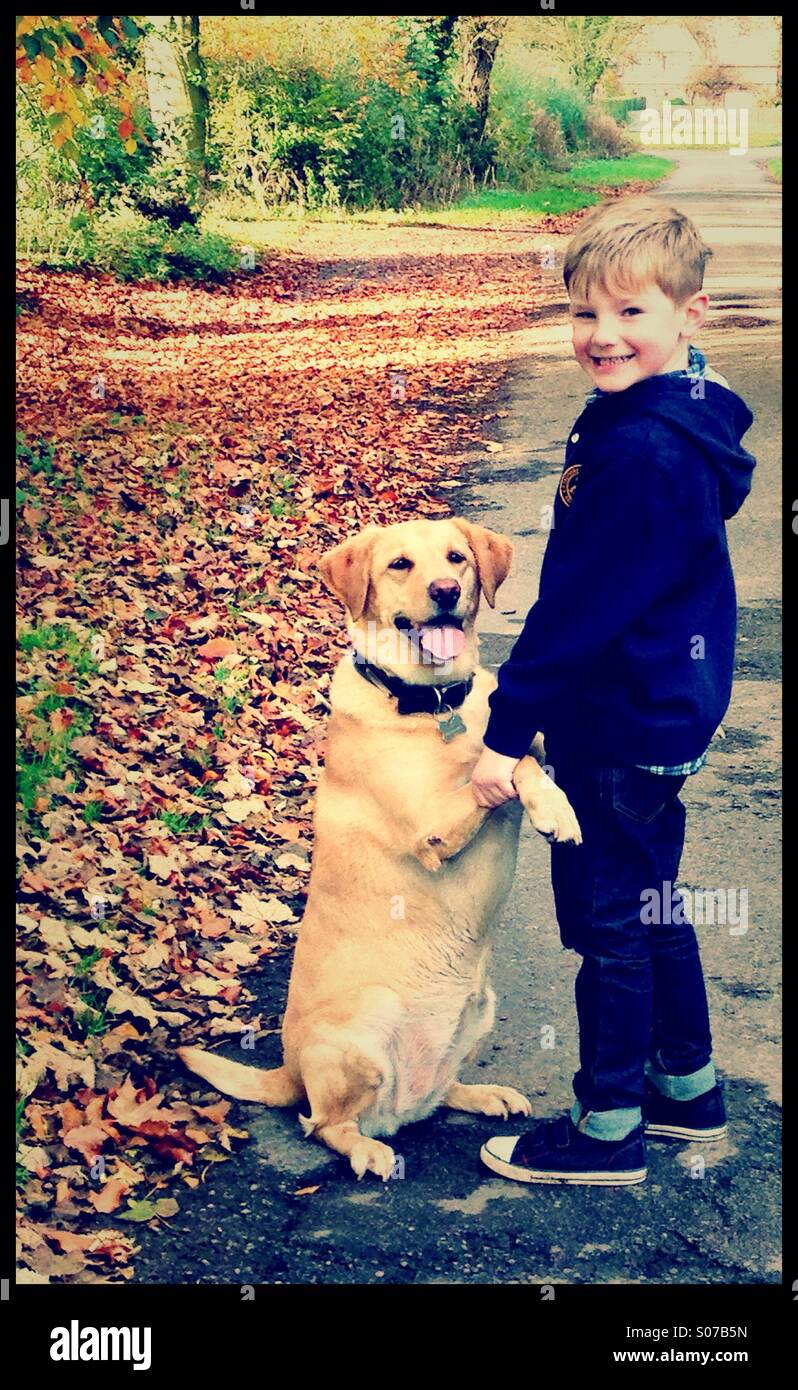 Les amis. Garçon et chien dans la les feuilles d'automne. Banque D'Images
