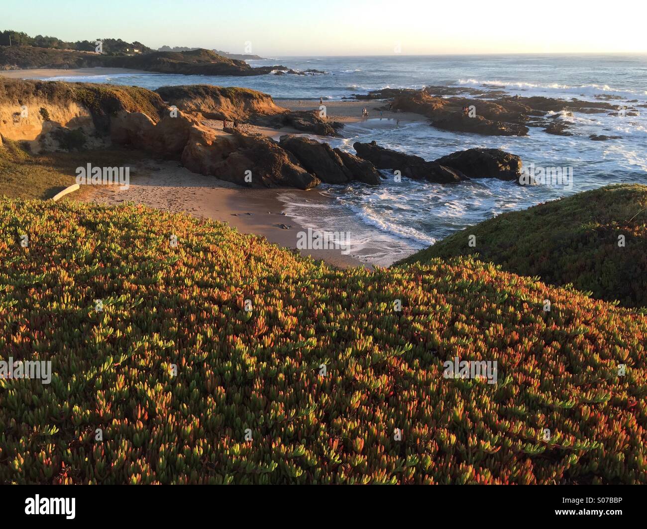 Bean Hollow Beach, CA - Image de stock capturée avec un smartphone