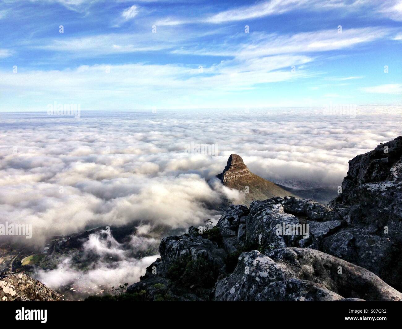 Tête de lion de la Montagne de la table. Banque D'Images