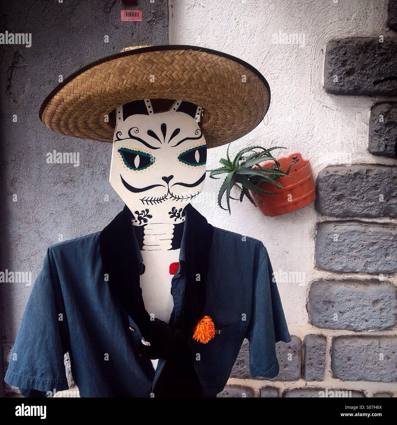 Une sculpture d'un chat s'habiller avec des vêtements traditionnels mexicains décore Garros shop à Colonia Roma, Mexico,Mexique - Image de stock capturée avec un smartphone