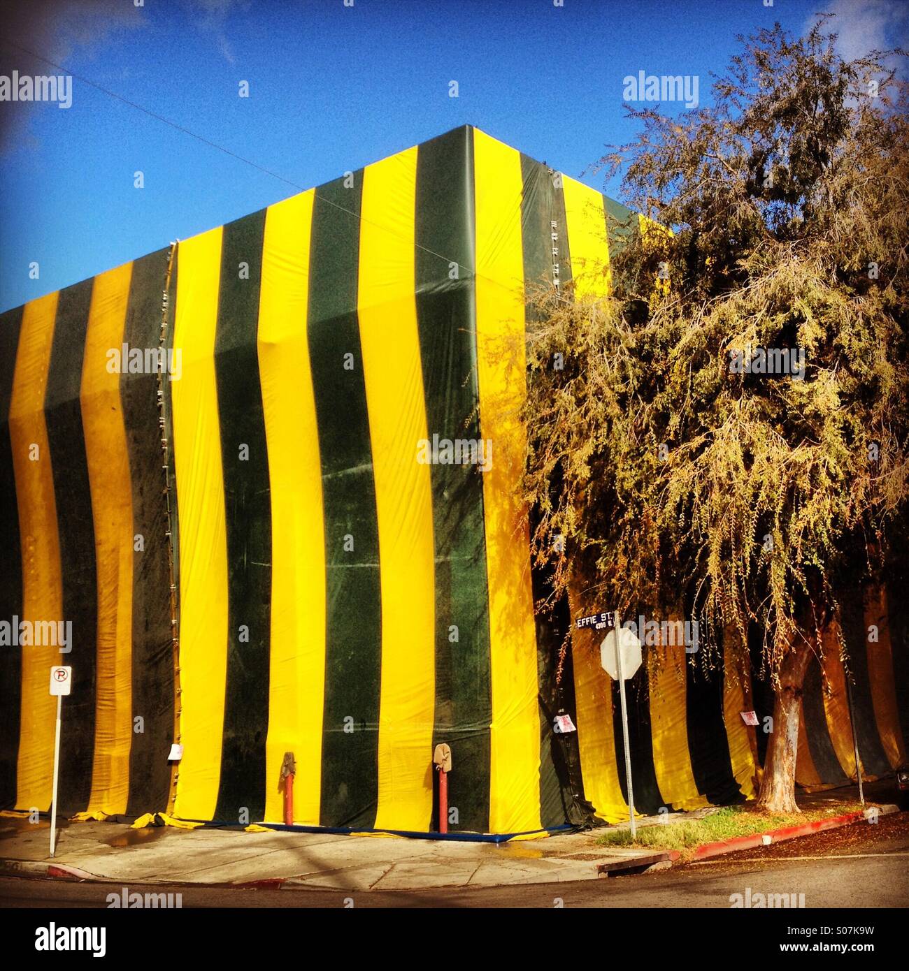 Les termites pour tentes bâtiment - Image de stock capturée avec un smartphone