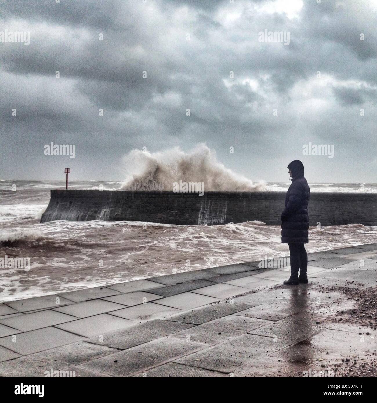 La marée haute à Exmouth, Devon Banque D'Images