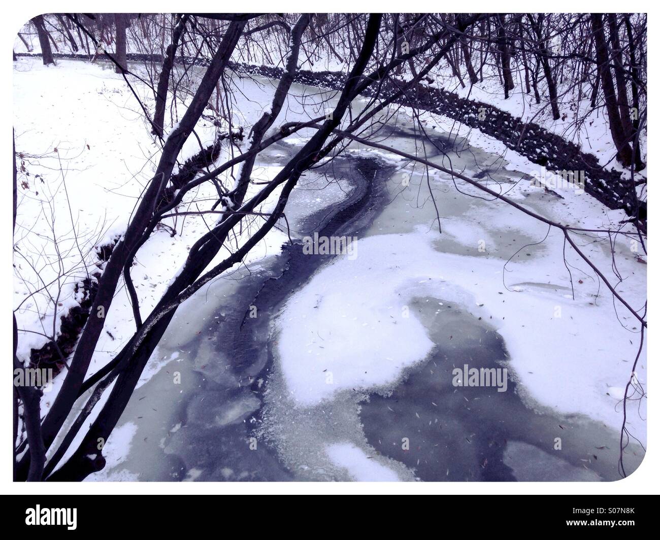 Une semi-ruisseau gelé en hiver. Banque D'Images