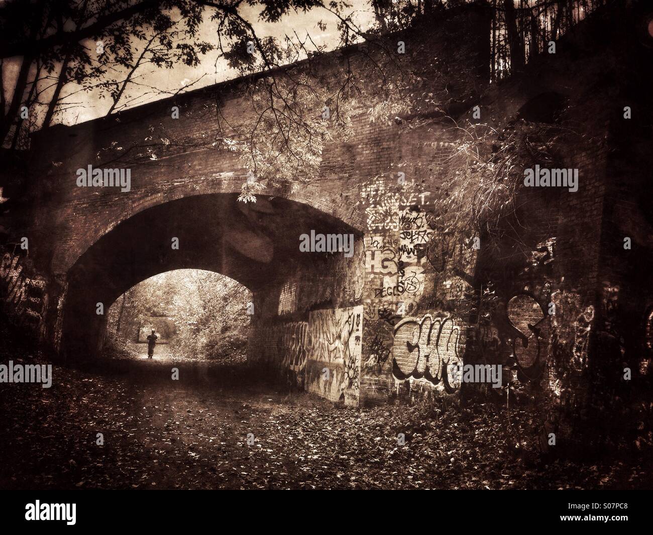 Un homme s'exécute dans un parc, une réserve naturelle urbaine faite à partir de la voie d'une ancienne ligne de chemin de fer dans le nord de Londres Banque D'Images