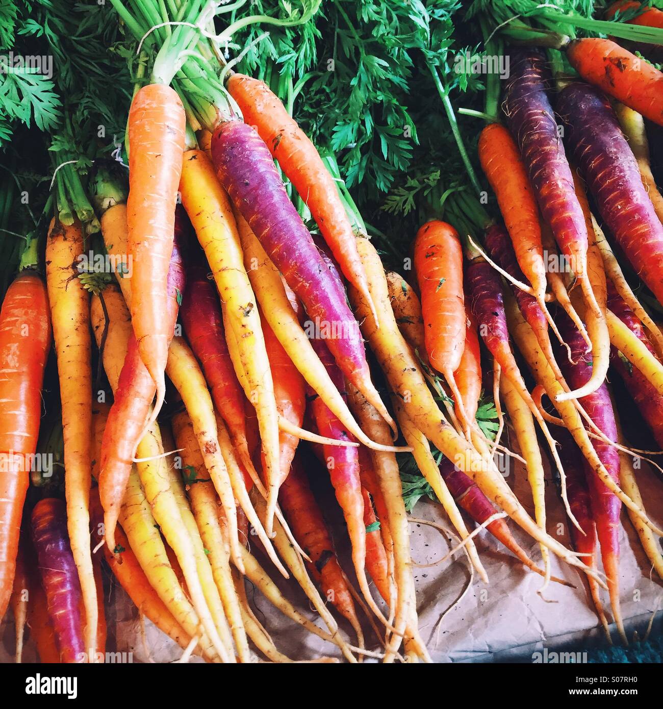 Bouquets de carottes frais et colorés Banque D'Images