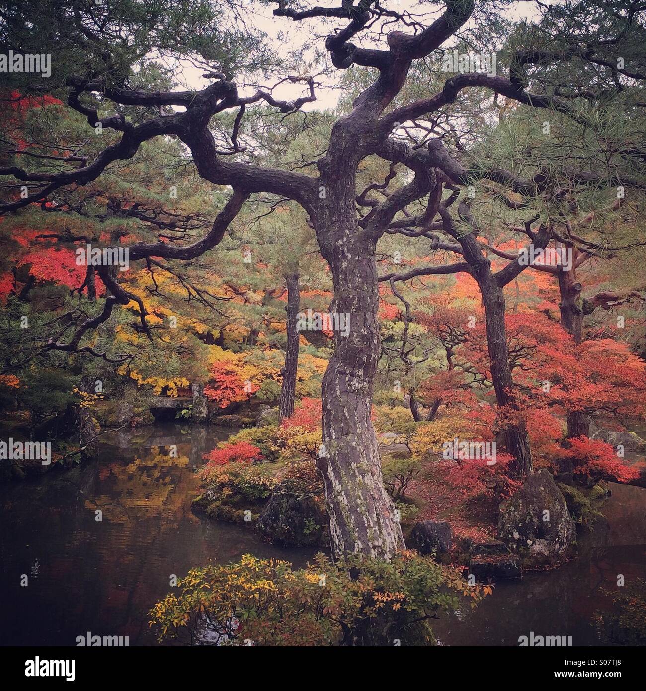 La couleur en automne, Ginkaku-ji, Kyoto, Japon Banque D'Images