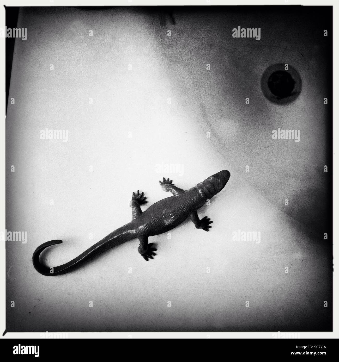 Lézard de jouet sur le bord d'une baignoire Banque D'Images