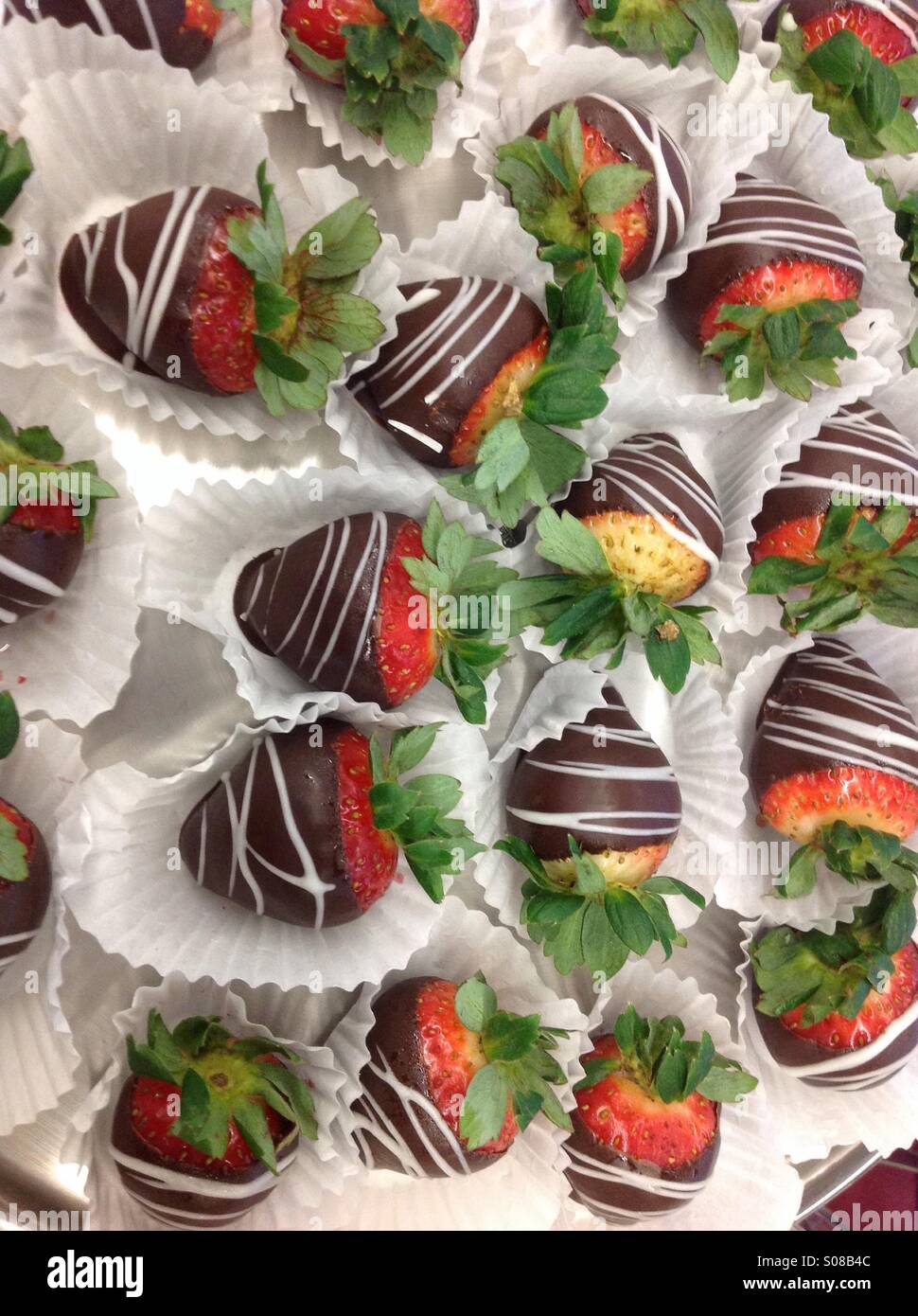Des fraises au chocolat Banque D'Images