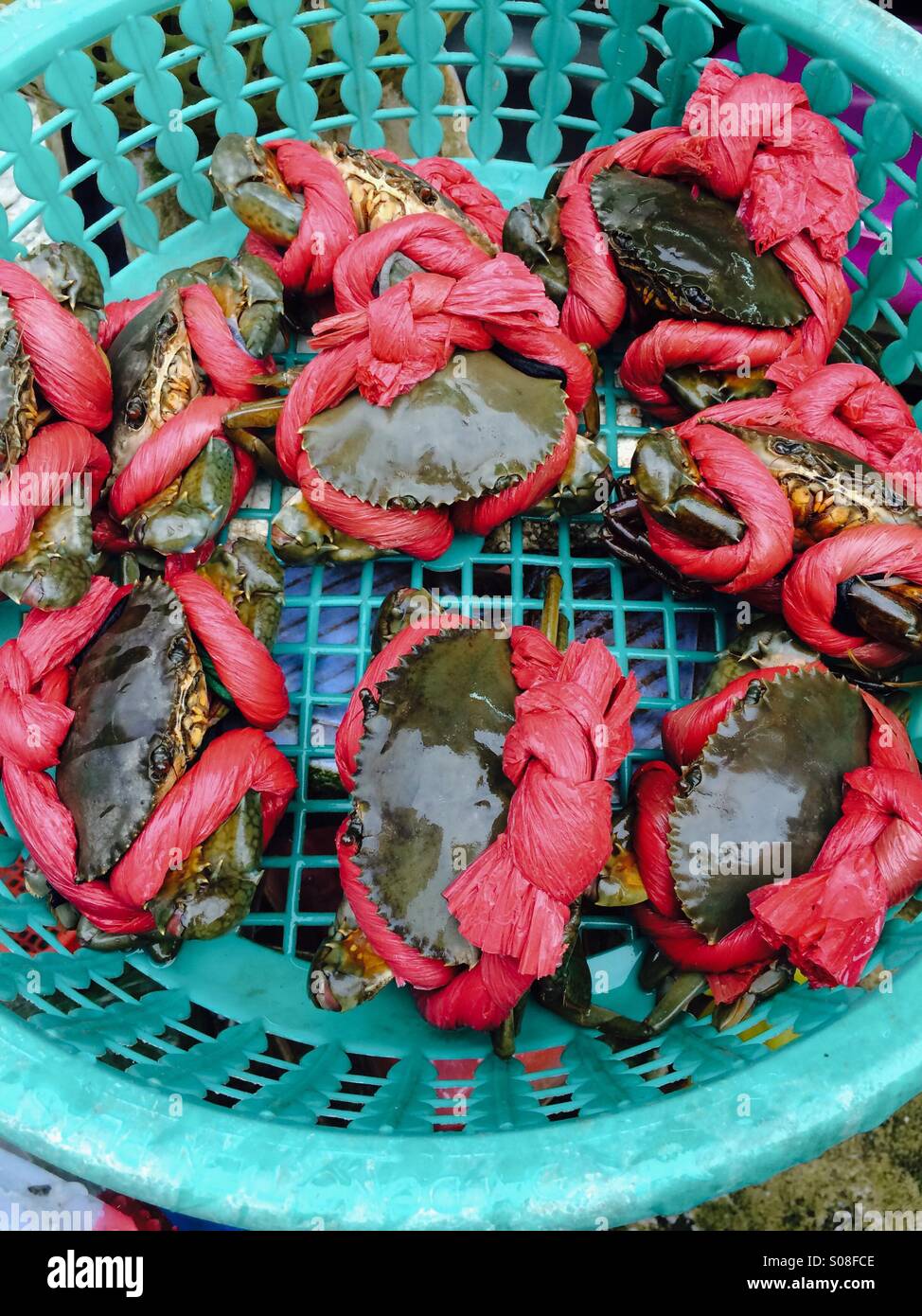 Les crabes frais en vente au marché Ben Thanh à Hô Chi Minh Ville Banque D'Images