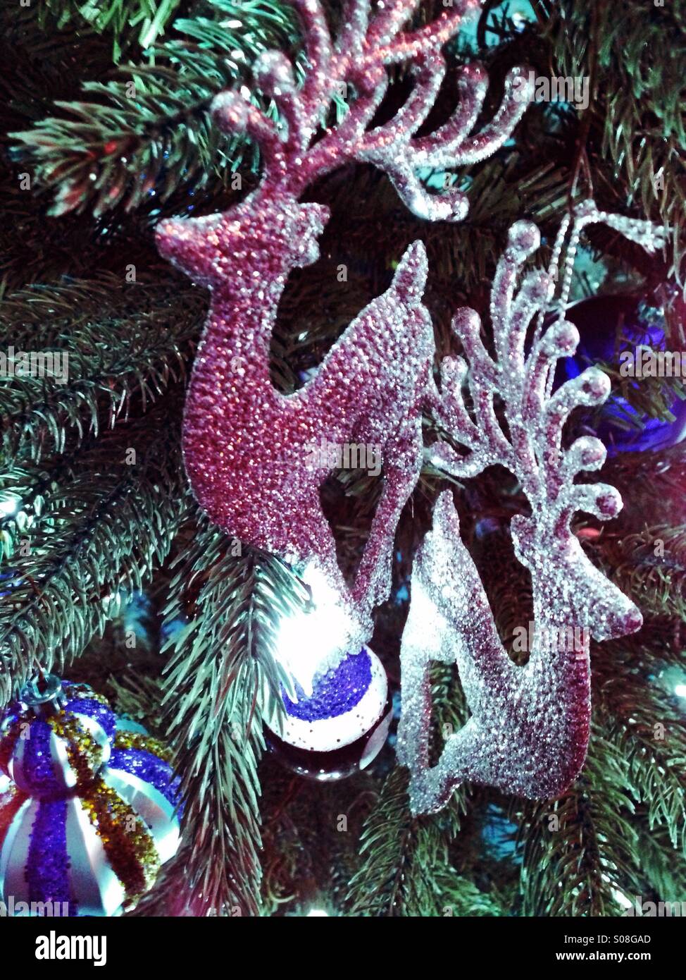 Glitter renne sur un arbre. - Image de stock capturée avec un smartphone
