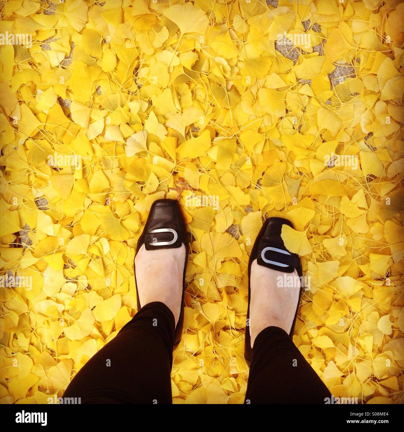 Pieds de femme dans une pile si feuilles jaunes Banque D'Images