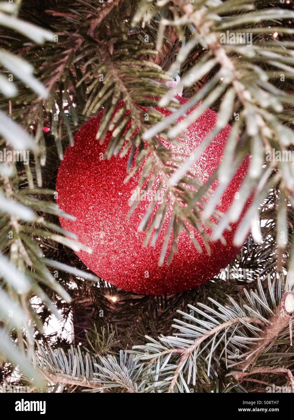 Boule de Noël Banque D'Images