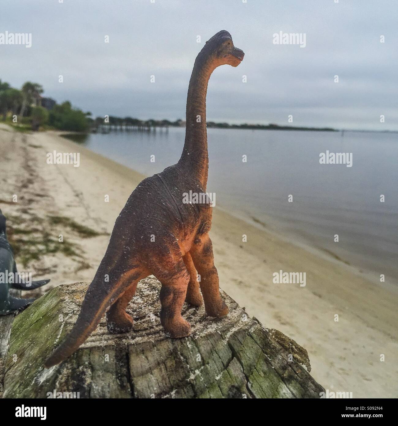 À la plage de dinosaures Banque D'Images