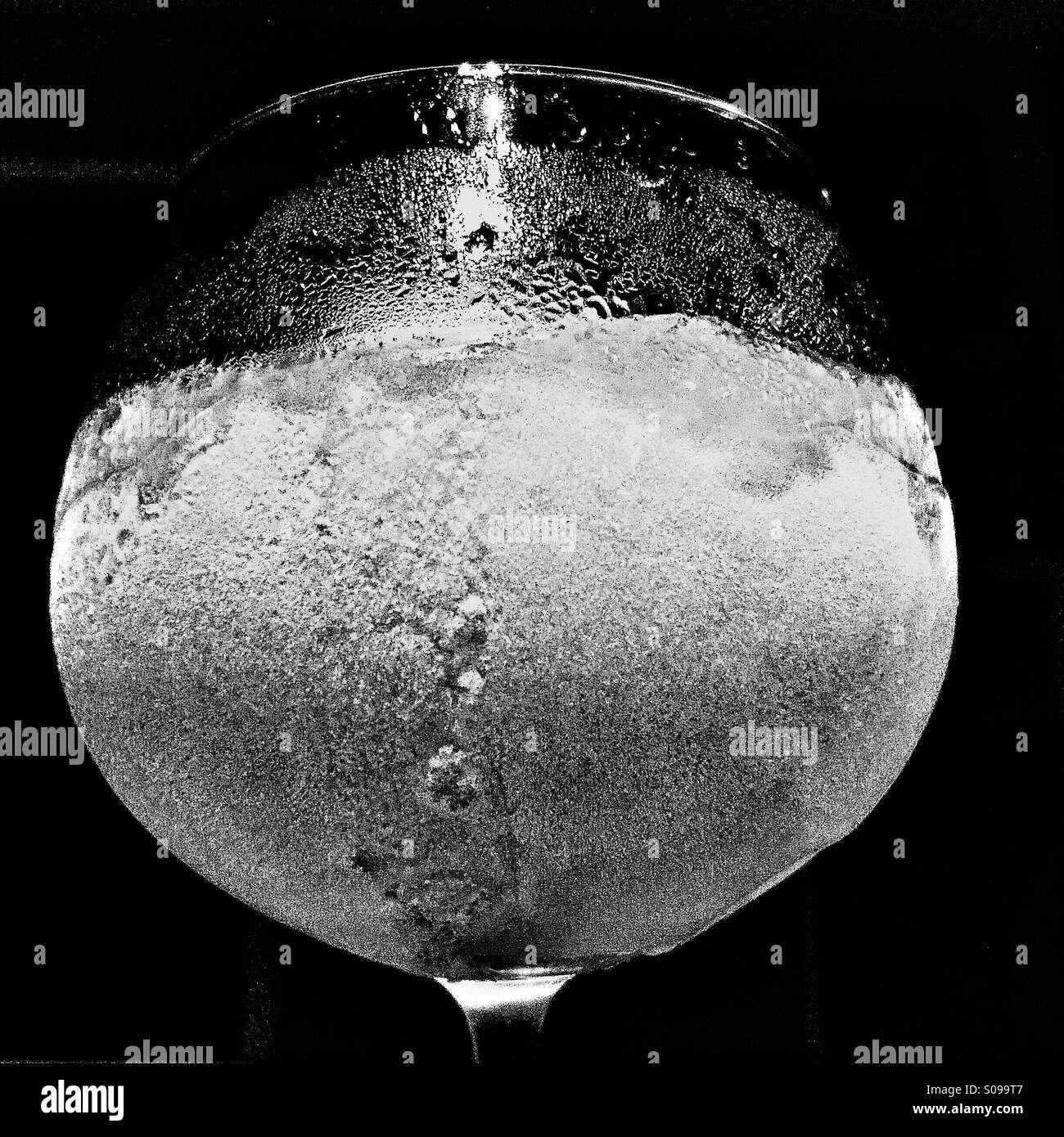 Photo en noir et blanc d'une gelée mixte gadoue girly verre dans un petit verre de brandy Banque D'Images