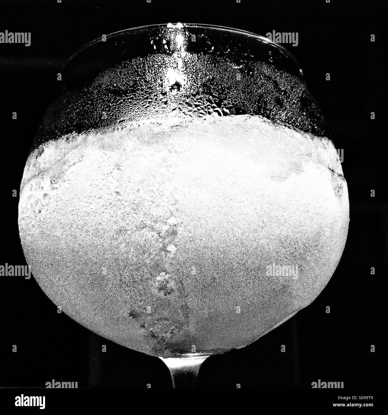 Photo en noir et blanc d'une gelée mixte gadoue girly verre dans un petit verre de brandy Banque D'Images