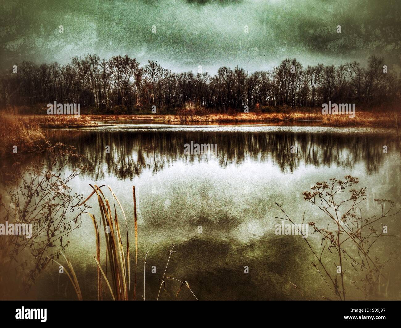 Un lac en hiver. - Image de stock capturée avec un smartphone