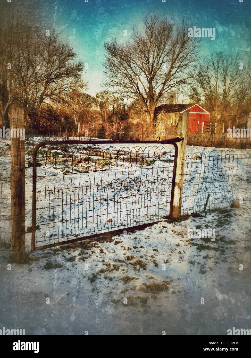 Une grille rouillée dans la neige avec une grange rouge à l'arrière-plan. Banque D'Images