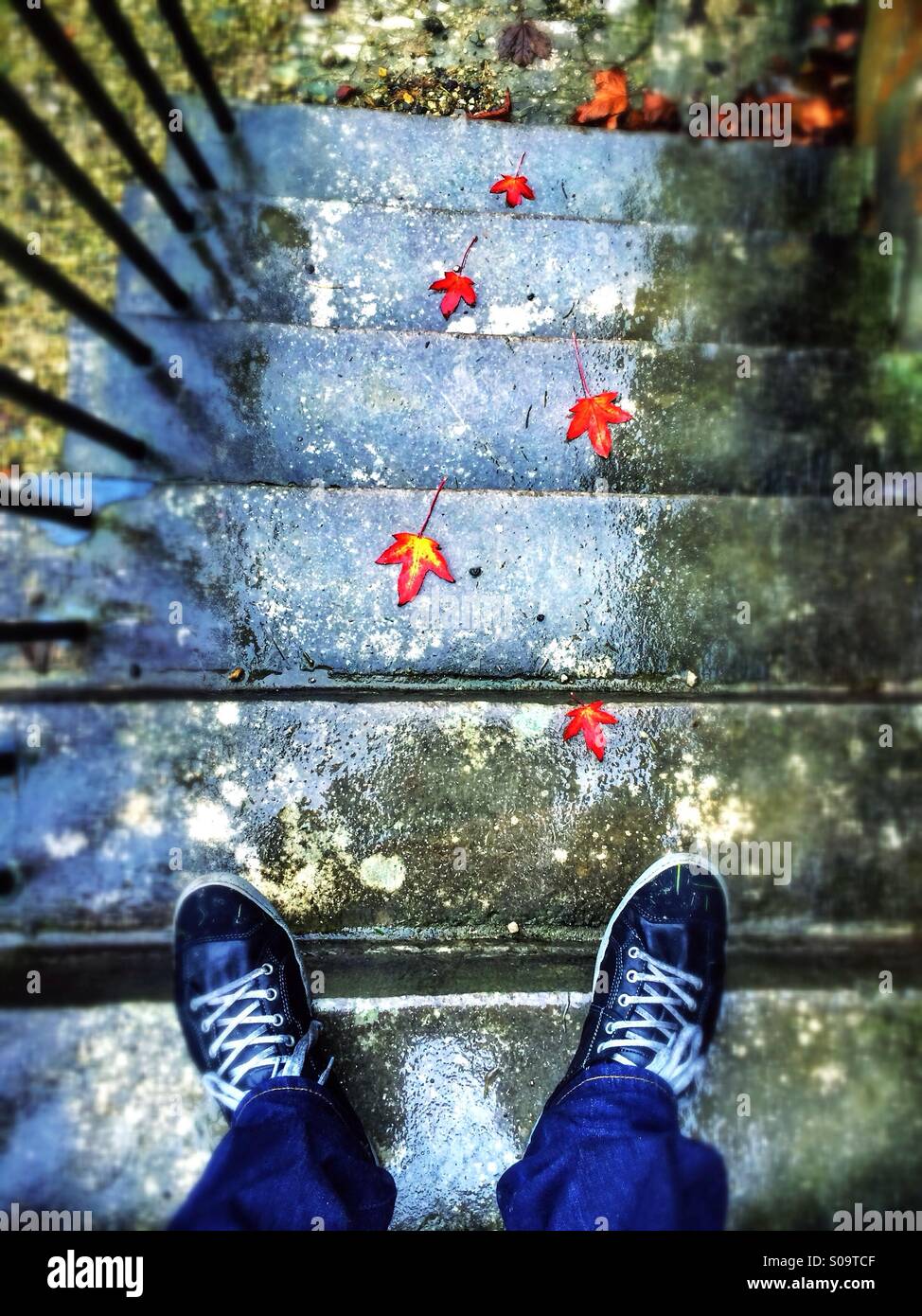 Vue vers le bas d'un homme debout en haut d'un ensemble de pluie pas, ses pieds dans la vue. Précédant les étapes sont rouge vif des feuilles en automne. Banque D'Images