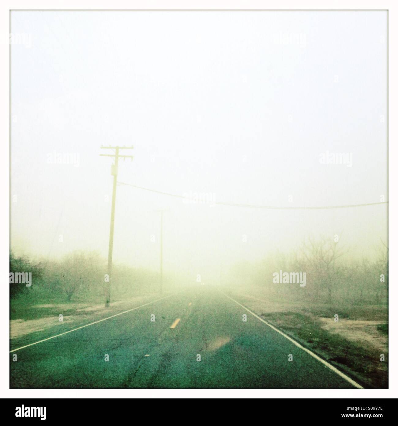 Foggy country road. San Joaquin Valley, California, USA - Image de stock capturée avec un smartphone