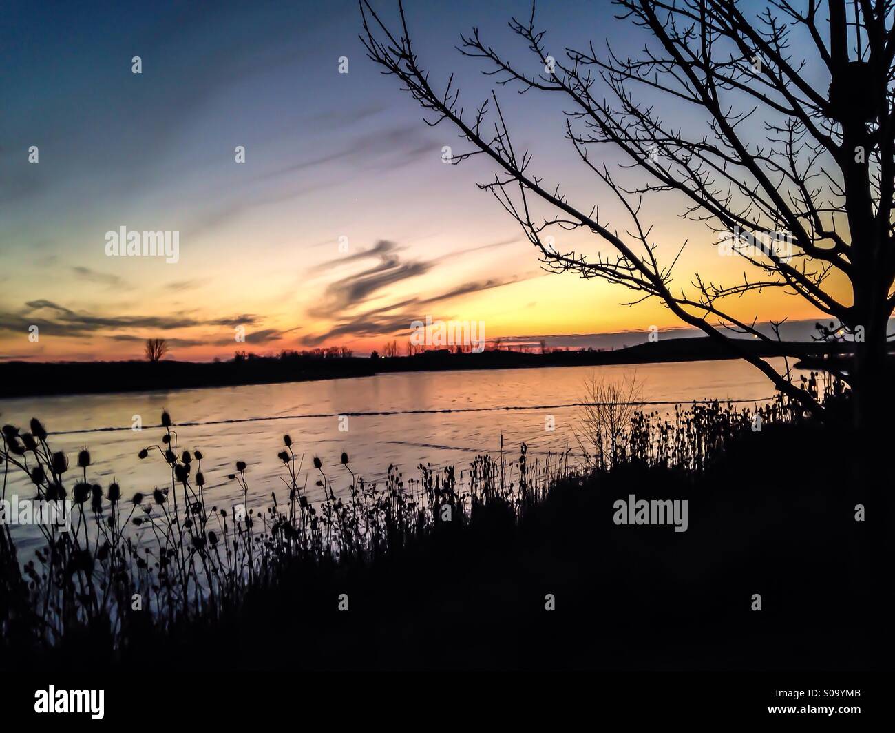 Un arbre mis en évidence par un coucher de soleil d'hiver. - Image de stock capturée avec un smartphone