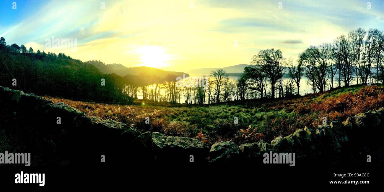 Dyke, Heather, lever du soleil et les arbres avant de Loch Lomond. Panorama Banque D'Images