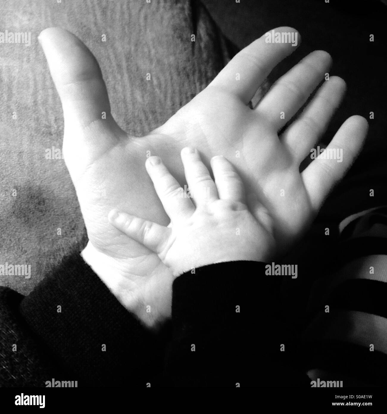 Main dans la main de bébé parent Banque D'Images