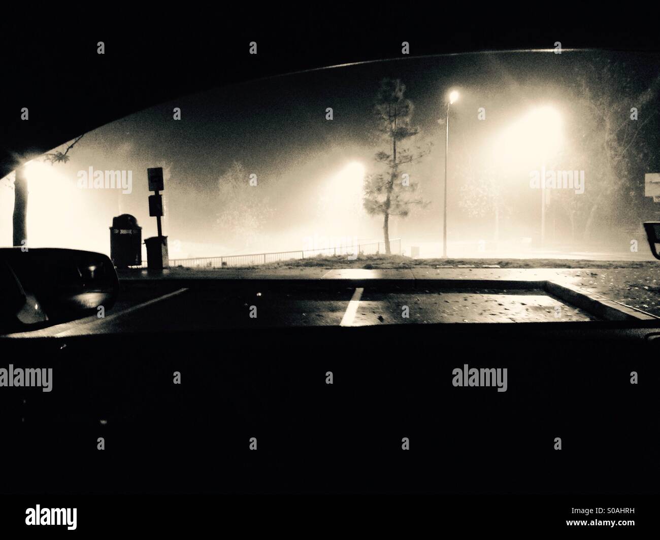 Regardant par la fenêtre d'une voiture dans un parc de brouillard sur une nuit pluvieuse. Banque D'Images