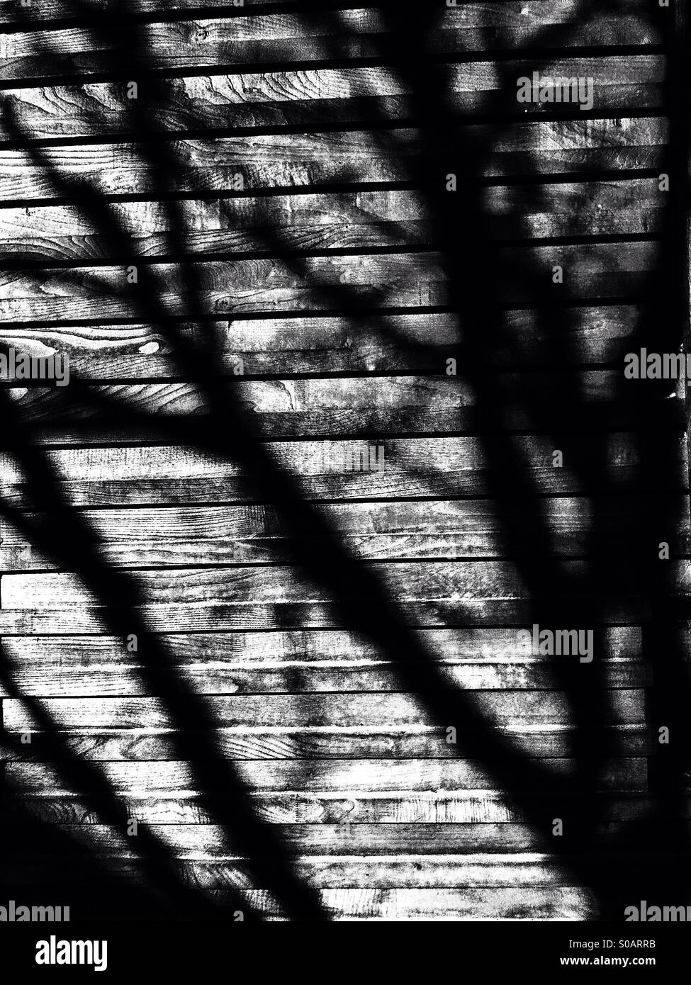 Ombres Des Arbres Banque De Photographies Et D images Haute ombres-des-arbres-banque-de-photographies-et-d-images-haute