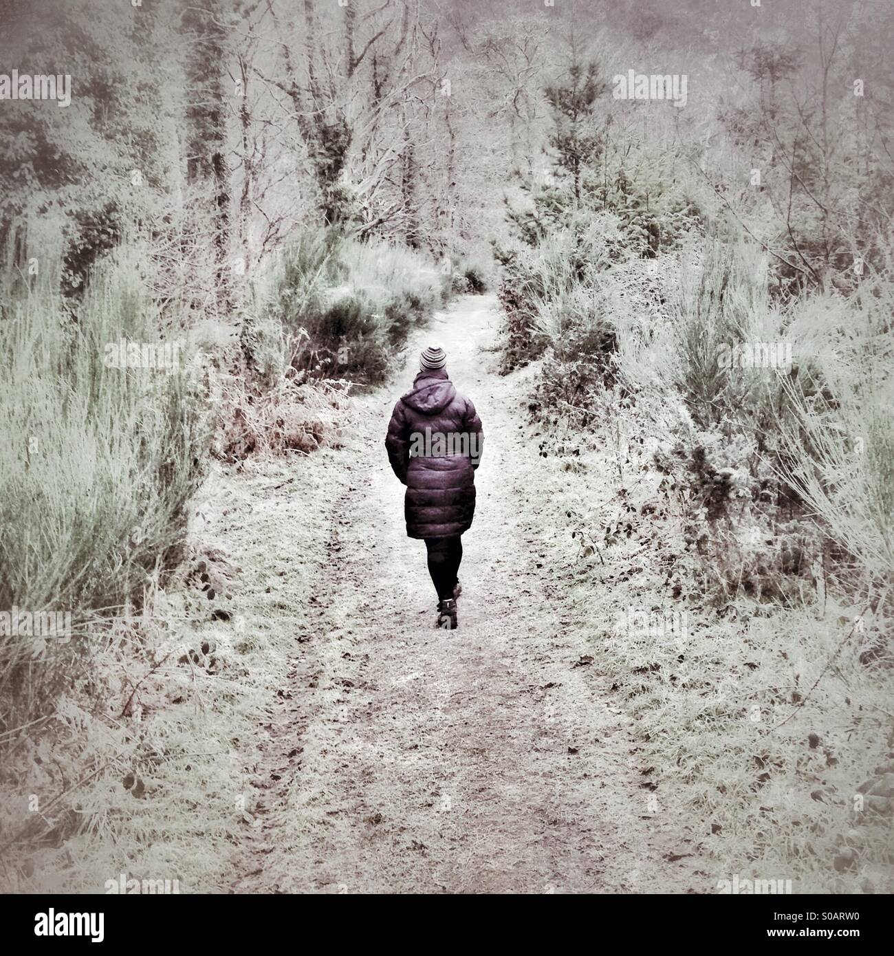 Marcher dans le froid Banque D'Images