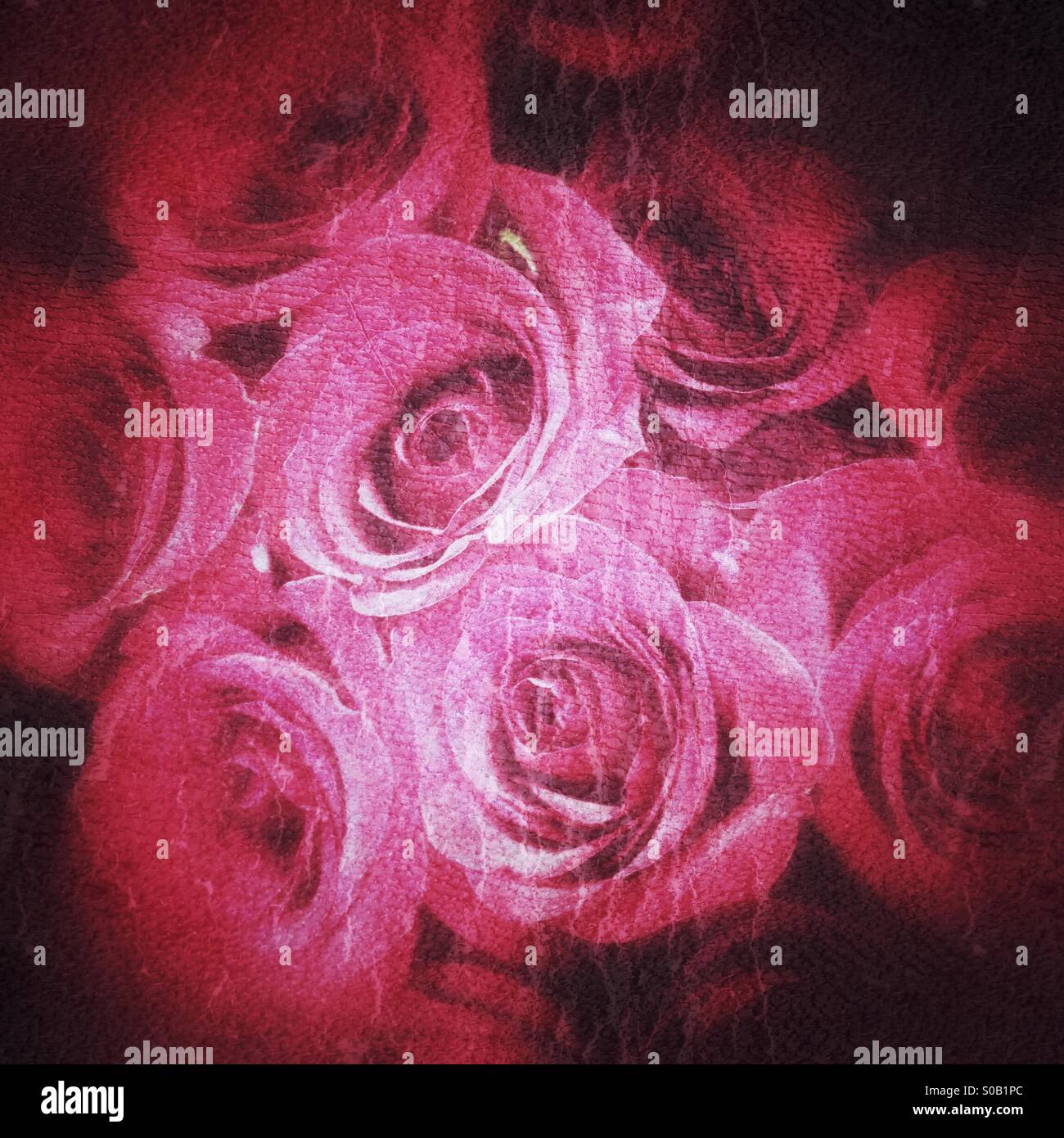 Roses rouges ; éditer en détresse. - Image de stock capturée avec un smartphone