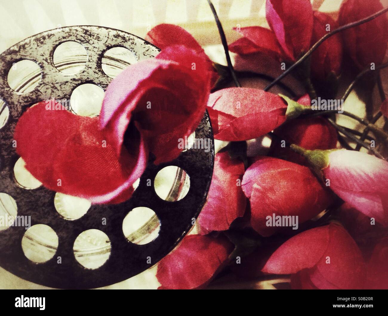 Roses rouges faux nid pose à un bocal avec couvercle perforé avec trous - Image de stock capturée avec un smartphone