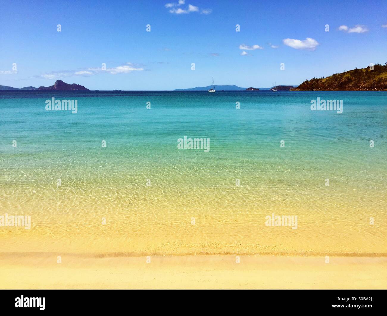 Plage de sable avec une mer bleu cristal dans les Whitsundays Australie - Image de stock capturée avec un smartphone