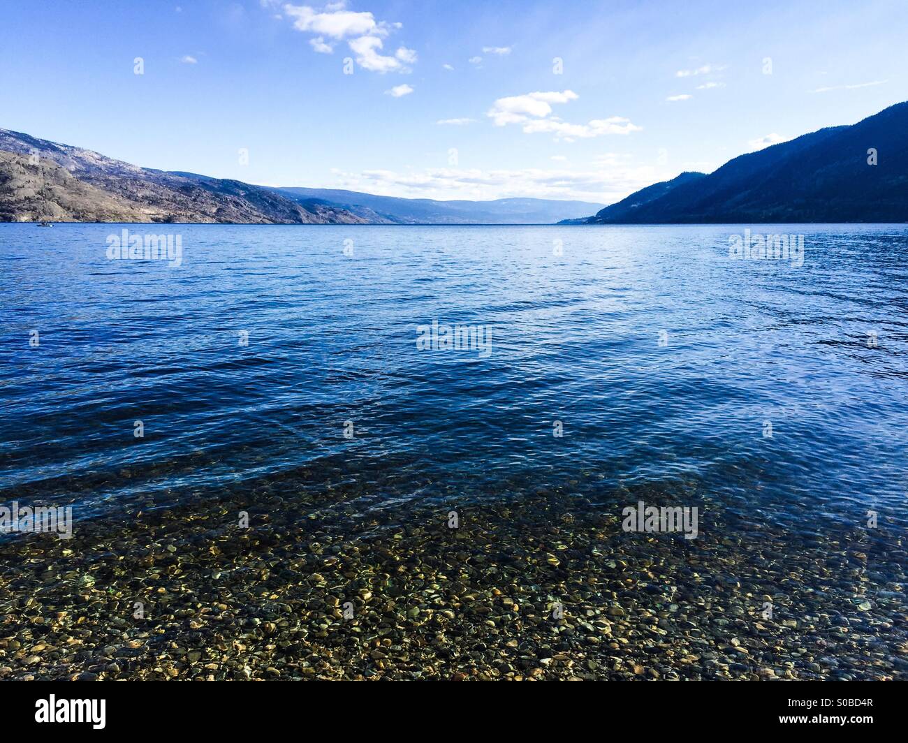 L'exceptionnelle qualité des eaux froides du lac Okanagan ; les rochers au bas clairement visible. Banque D'Images
