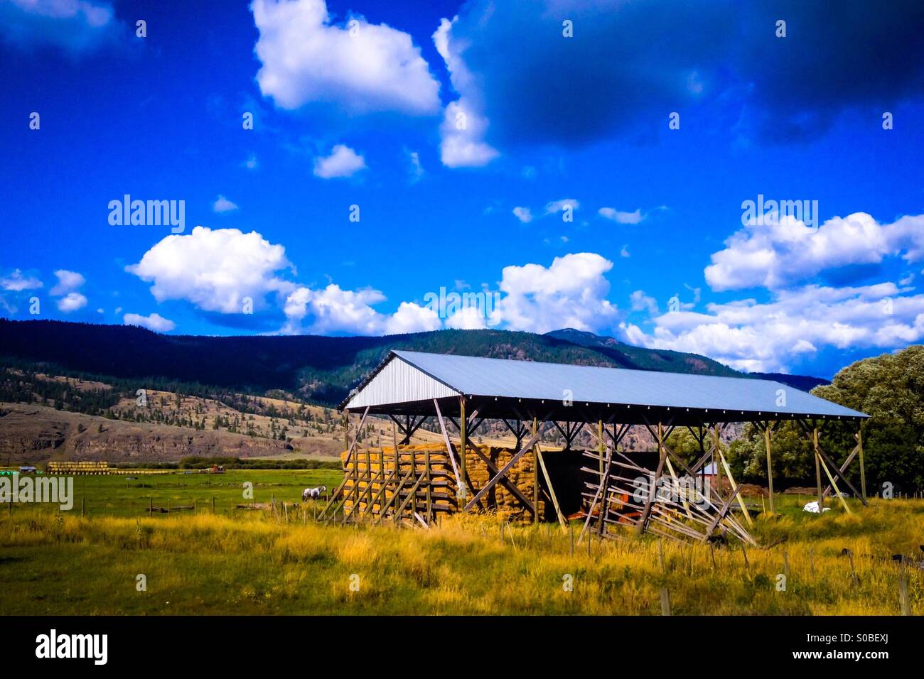 Grange sous un ciel bleu et nuages blancs. Le tracteur dans la grange, cheval dans l'arrière-plan. - Image de stock capturée avec un smartphone
