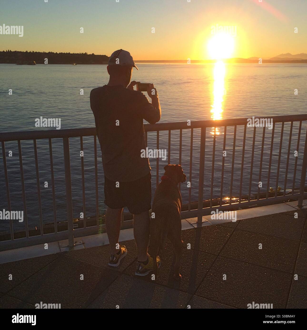 L'homme et le chien de photographier le coucher du soleil, Elliot Bay, du centre-ville de Seattle, Washington, février 2015 Banque D'Images