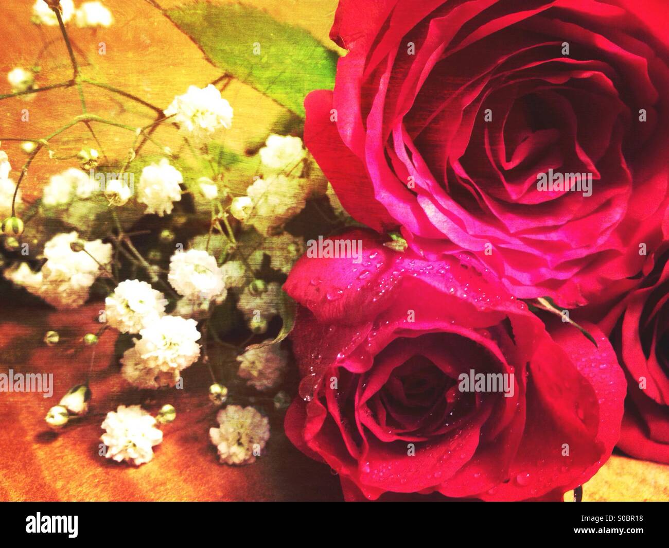 Trois roses rouges avec gypsophila sur champ d'or - Image de stock capturée avec un smartphone