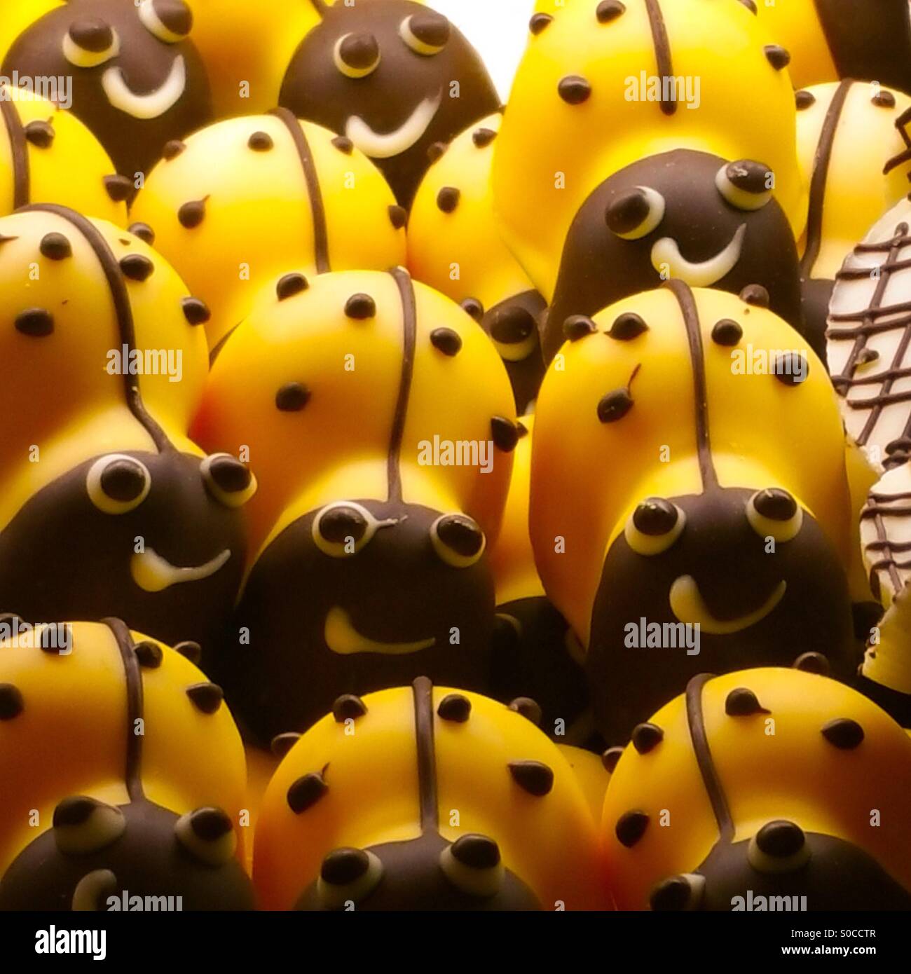 Les coccinelles jaune sucré Banque D'Images