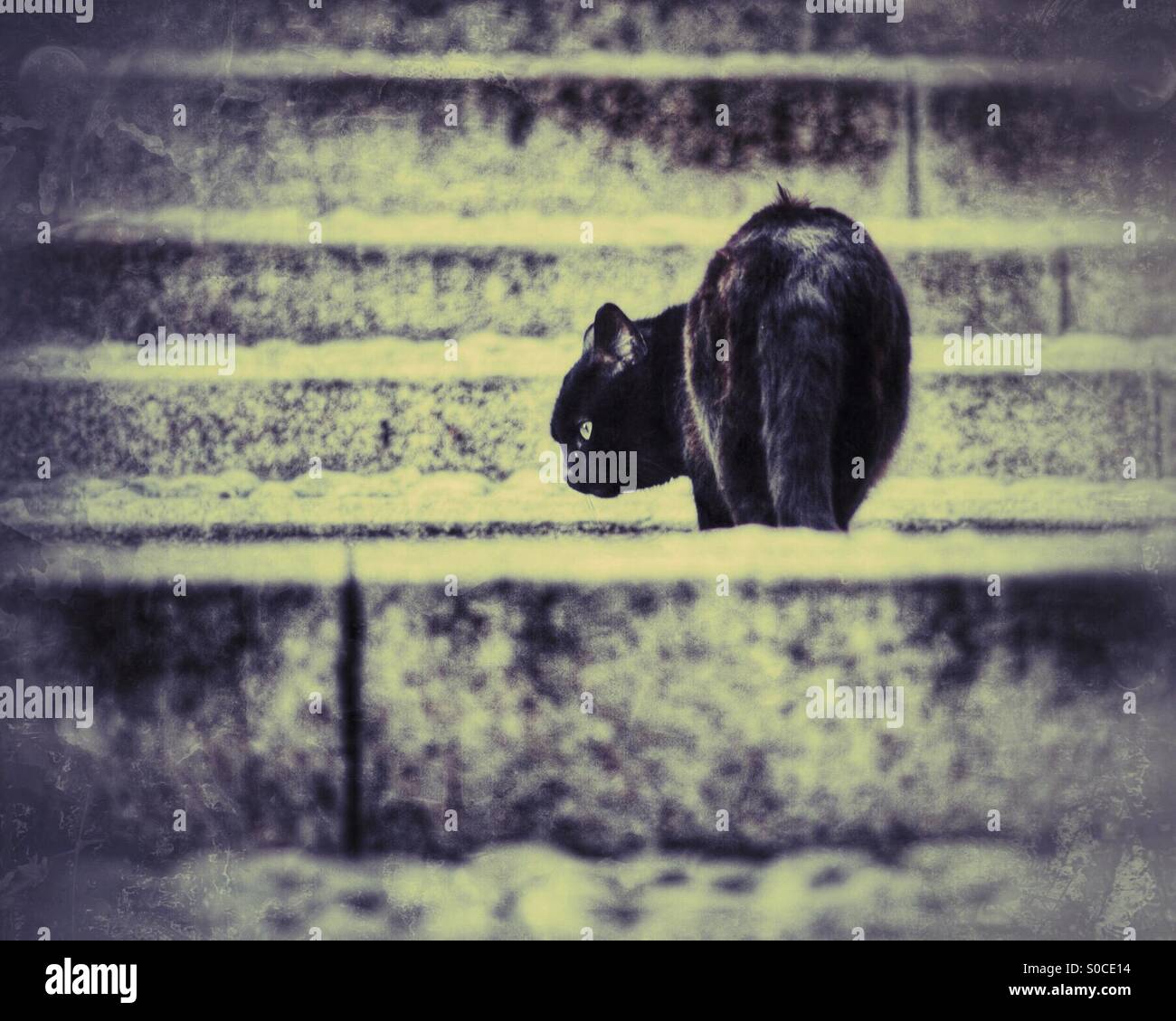 L'apparence de l'Hunter - Image de stock capturée avec un smartphone