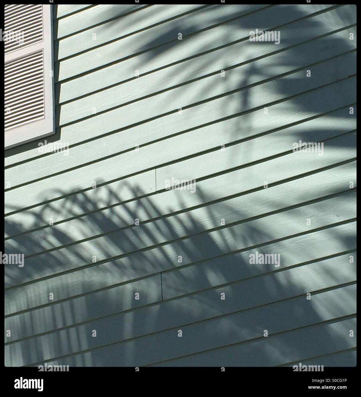 Palm tree shadows sur une maison, en Floride, USA, le 9 mars 2015, © Katharine Andriotis Banque D'Images