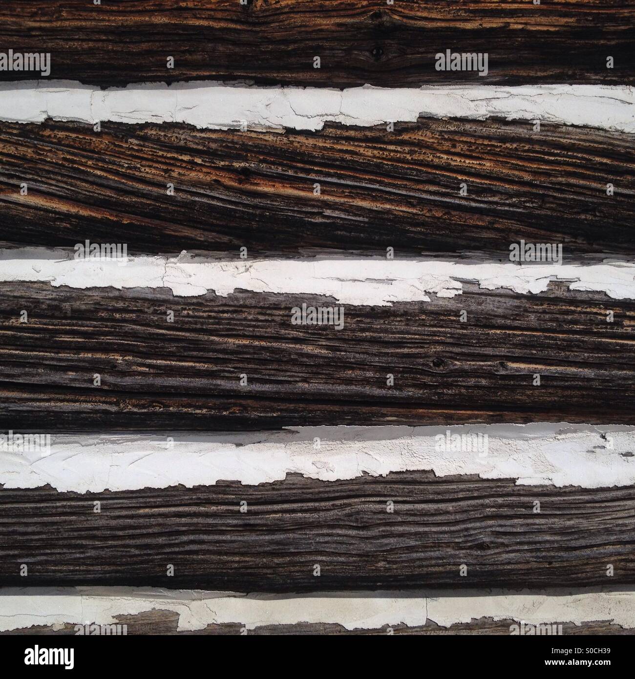 Log house wall fragment. - Image de stock capturée avec un smartphone